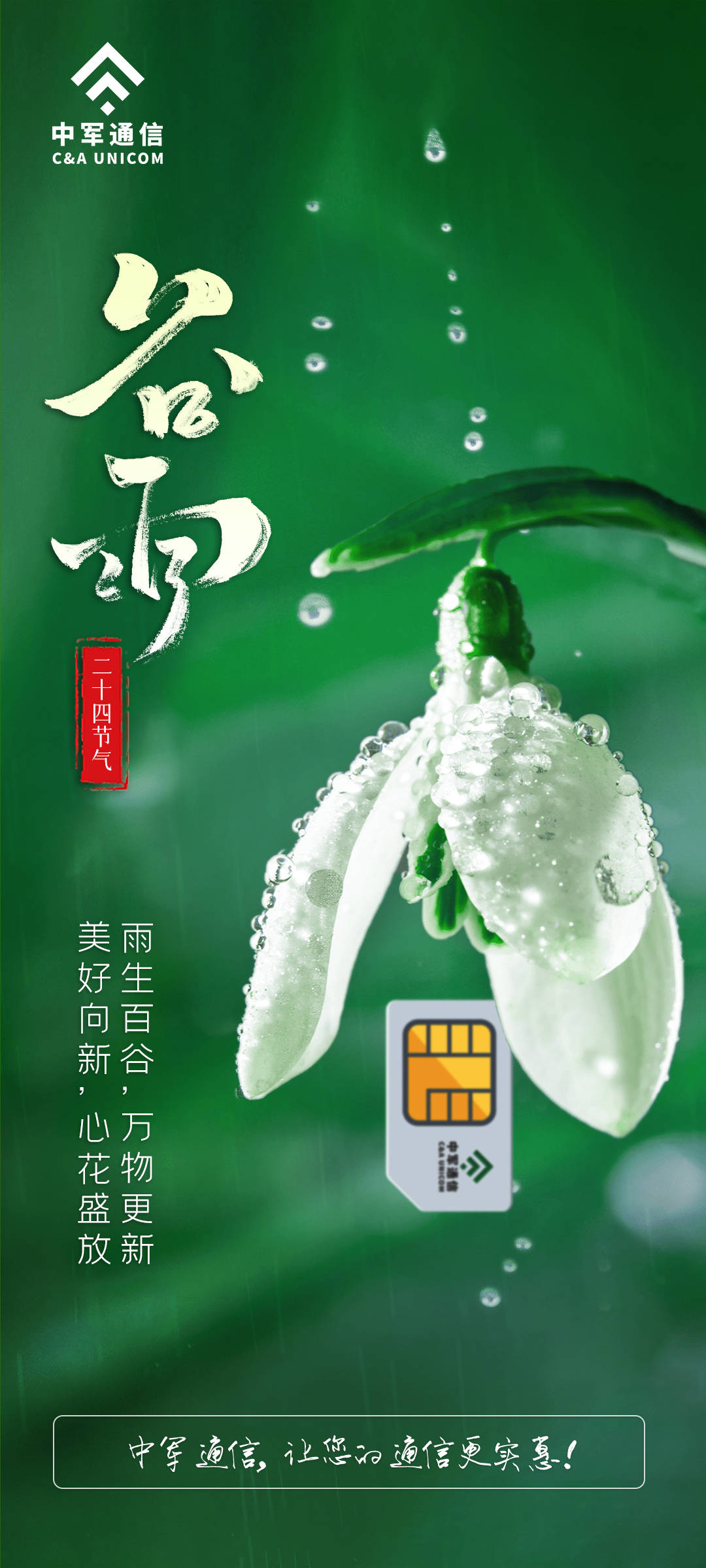 中军通信:雨生百谷,万物更新 | 美好向新,心花怒放_香椿_时节_人们