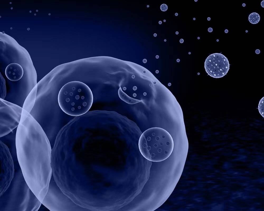 薇安蔻丨细胞外囊泡引领再生医学新前沿