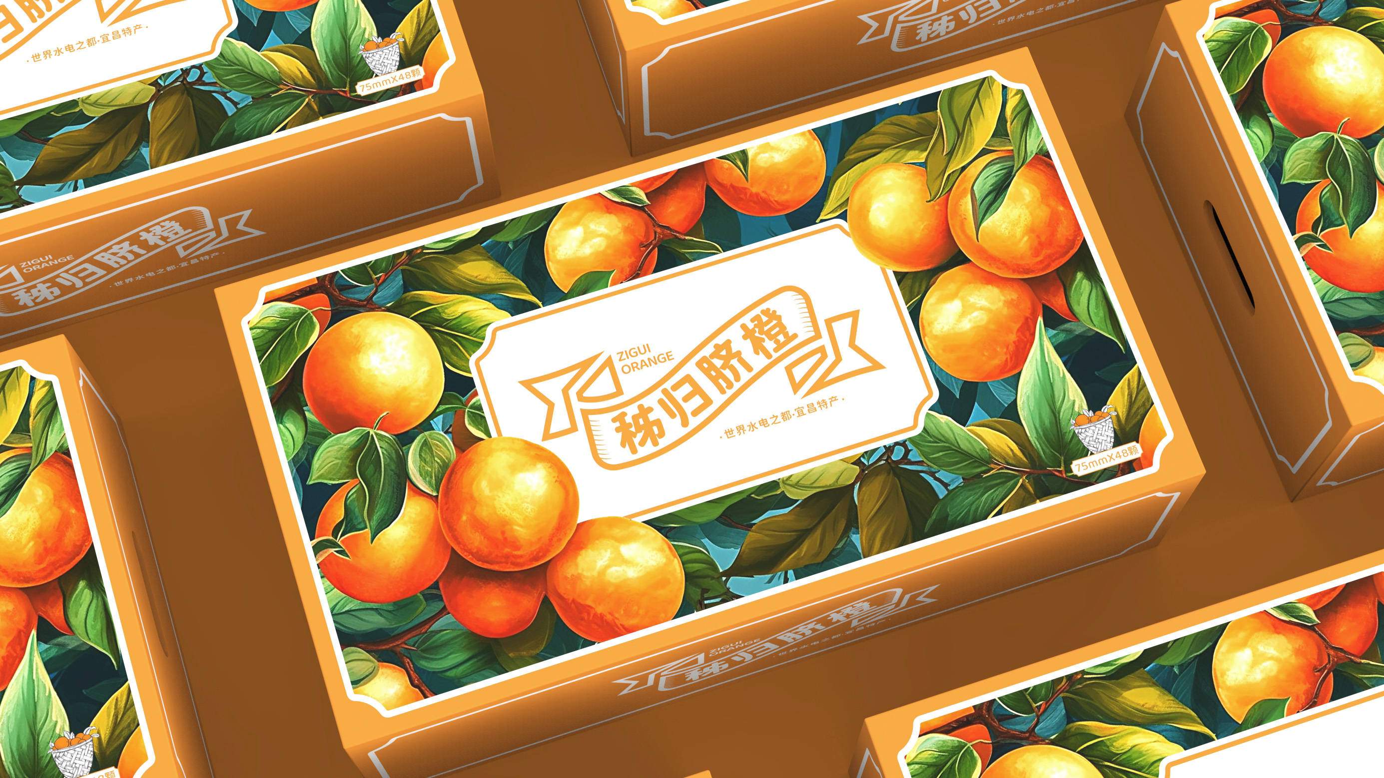秭归脐橙 | 包装设计 | 原创 插画_橙子_极具_视觉