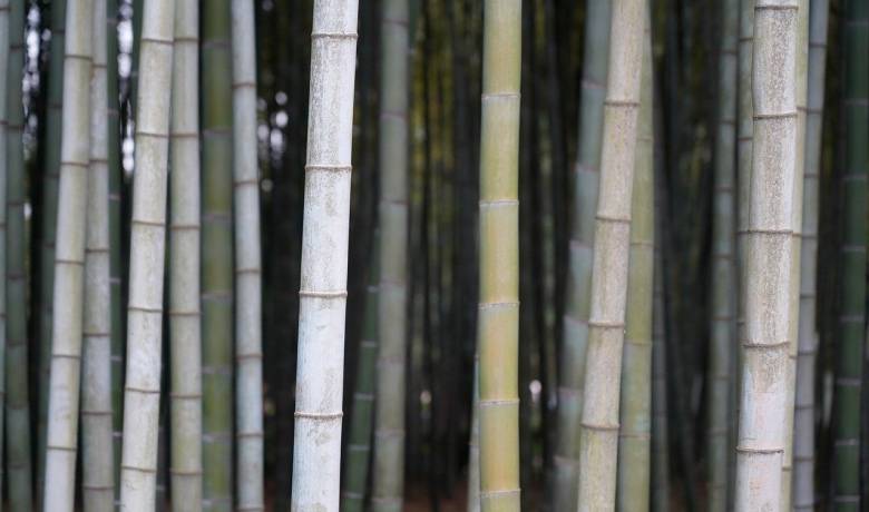 智能投影市场今年很火，却不是彩电企业的“脱困良药”-家电圈官网