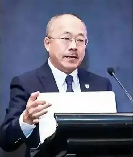 国安重拳出击,台独,内鬼,间谍瑟瑟发抖_蔡英文_国家_支持