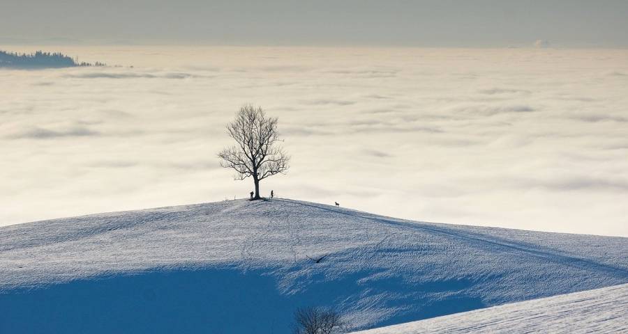 消费复苏渠道乱飞与家电破冰之痛-家电圈官网