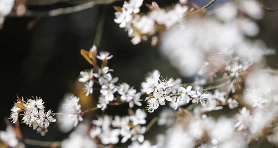 家电业备战618：美的海信京东跨越，长虹小米极米TCL超车-家电圈官网