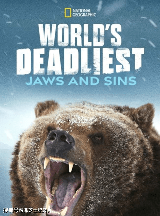 9144-国家地理《致命之最：鲨与罪 World’s Deadliest: Jaws & Sins 2013》第一季全2集 英语多国中字 纯净版 1080P/MKV/5.11G 动物杀手