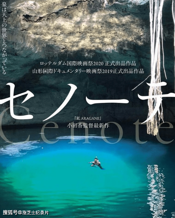 9143-日本纪录片《沉洞泉 Cenote 2019》日语中字 1080P/MP4/1.42G 墨西哥尤卡坦洞穴喷泉