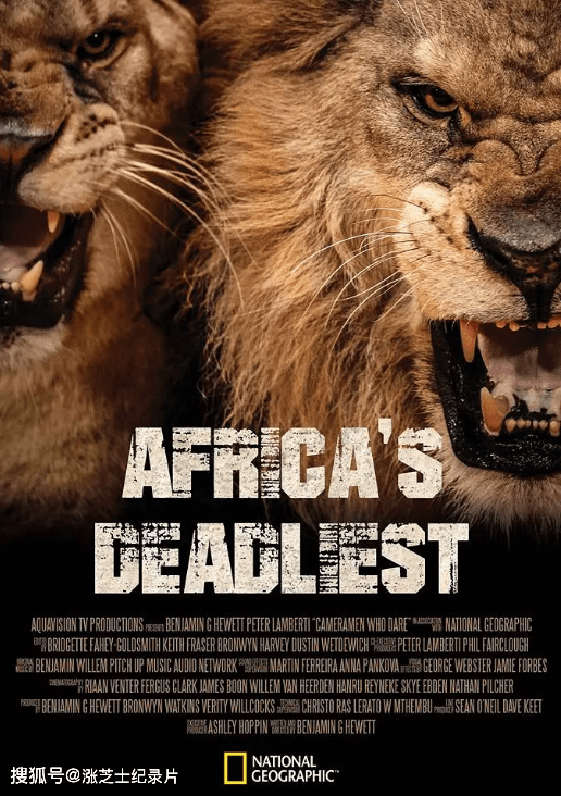 9140-国家地理《非洲致命动物 Africas Deadliest》第1-7季全24集 英语中英双字 纯净版 1080P/MKV/59.3G 非洲最危险的动物