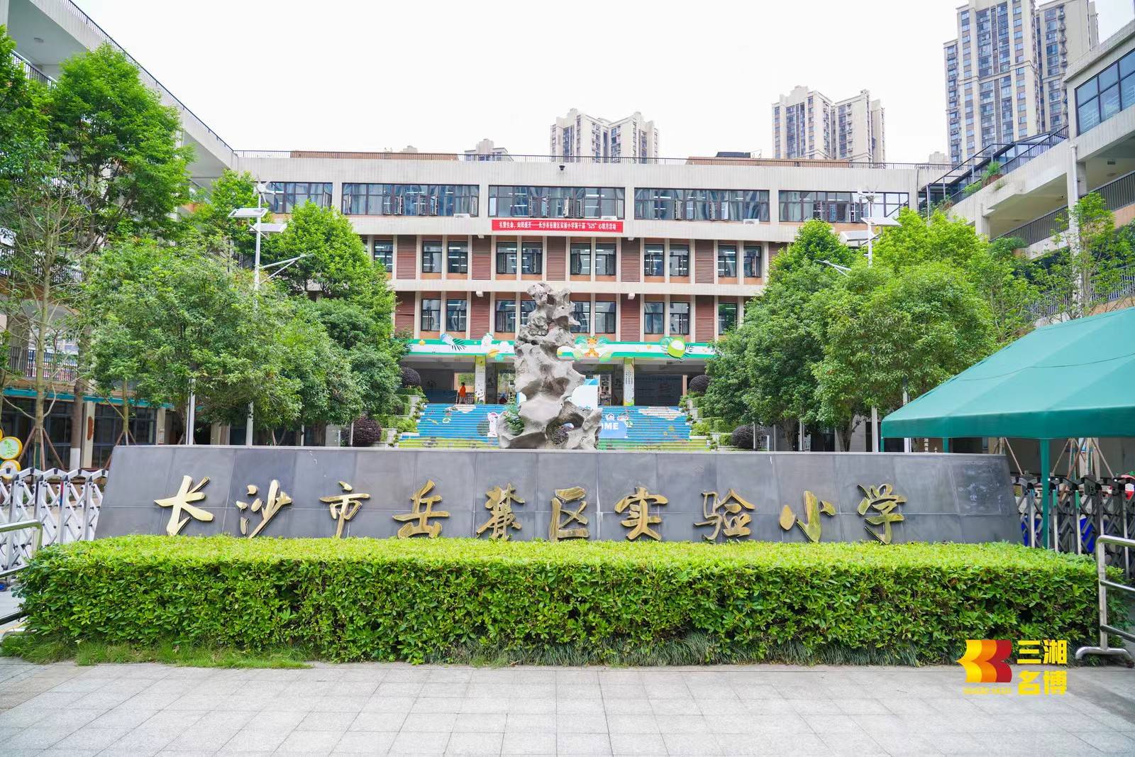 长沙岳麓区滨江小学图片