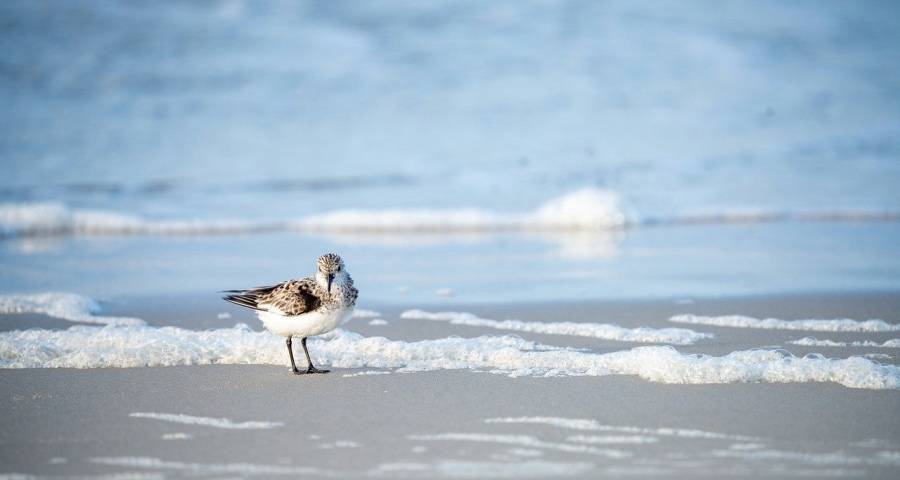 市场回归原点后家电厂商如何应对？-家电圈官网