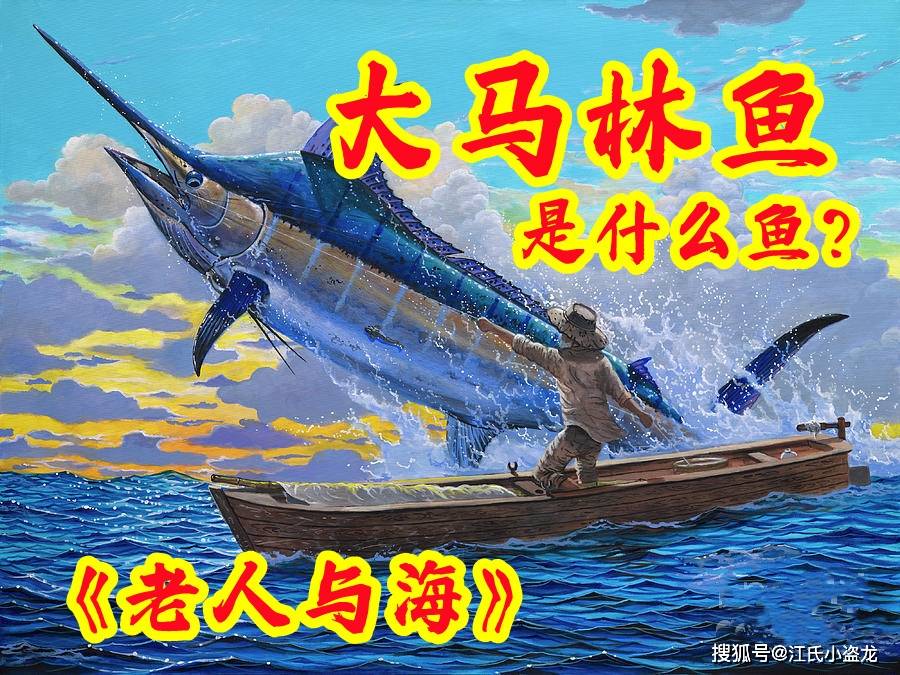 【海怪】大馬林魚到底是什麼魚?_大西洋_老人_鯊魚