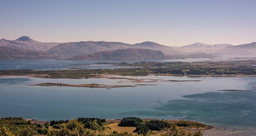 除了投靠用户，家电企业还有更好选择吗？-家电圈官网