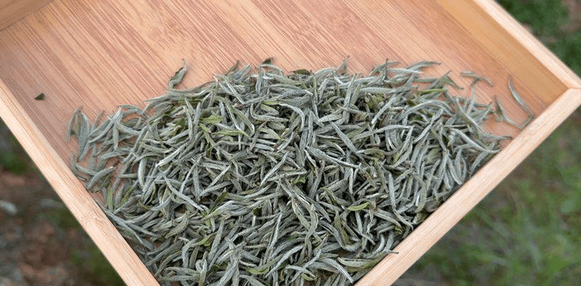 福鼎白茶厂家玖美茶叶怎么样-福鼎白茶 大厂