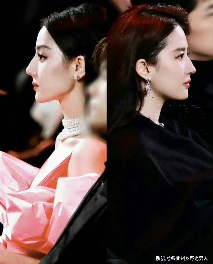 这种鼻型在欧美国家比较常见,也被称为罗马鼻或鹰钩鼻.