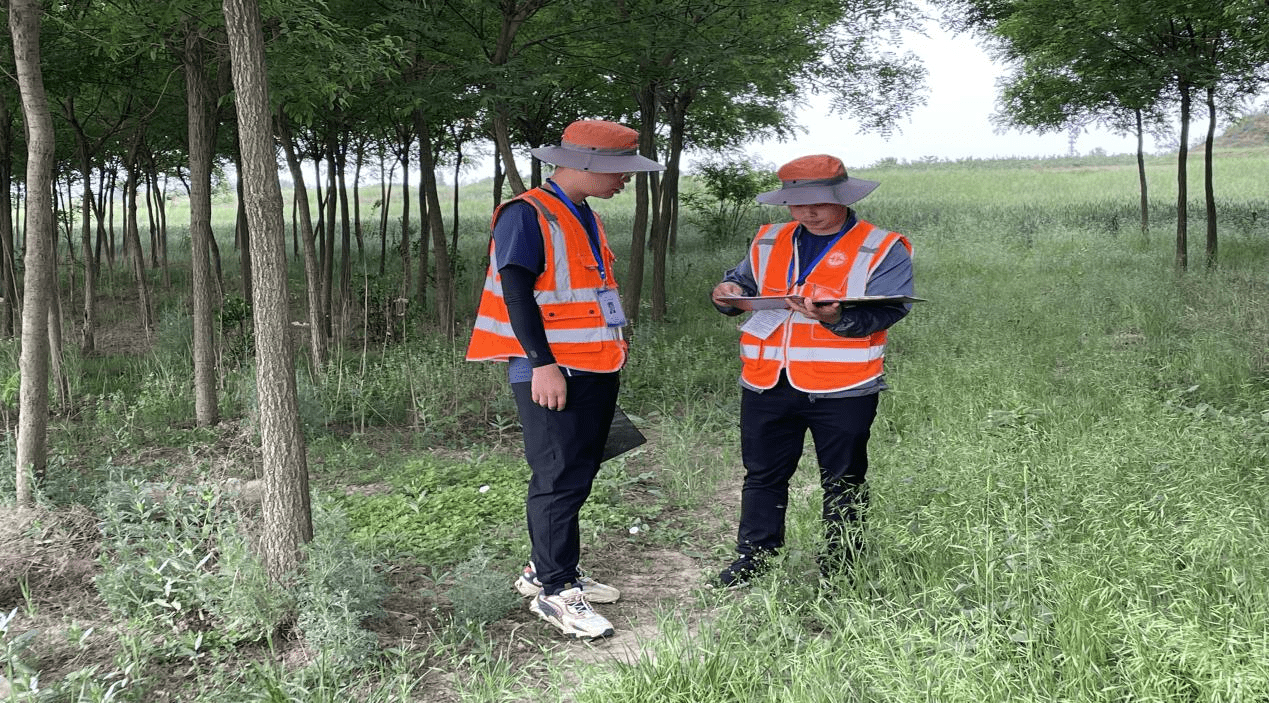 土地调查图斑编号图片