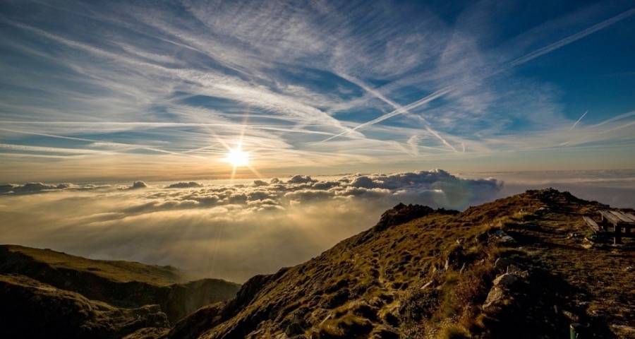 一线家电市场商战的关键力量变了-家电圈官网