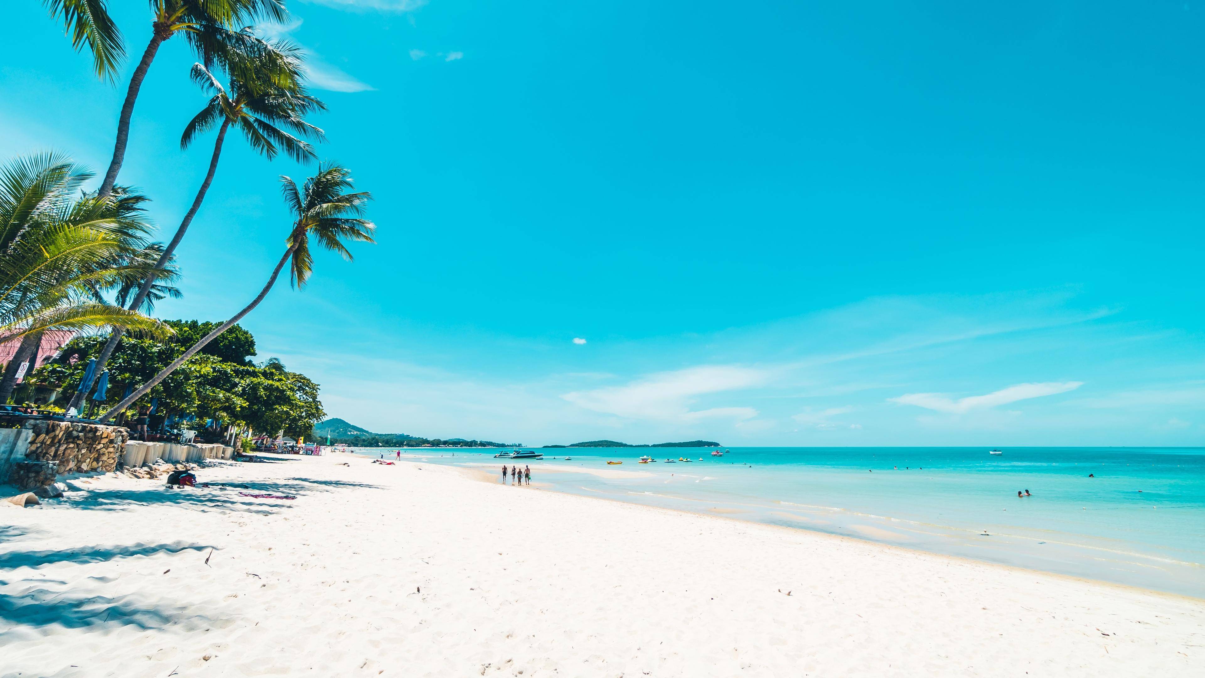 海洋守护者便携式海水检测仪守护蓝色星球的每一滴海水