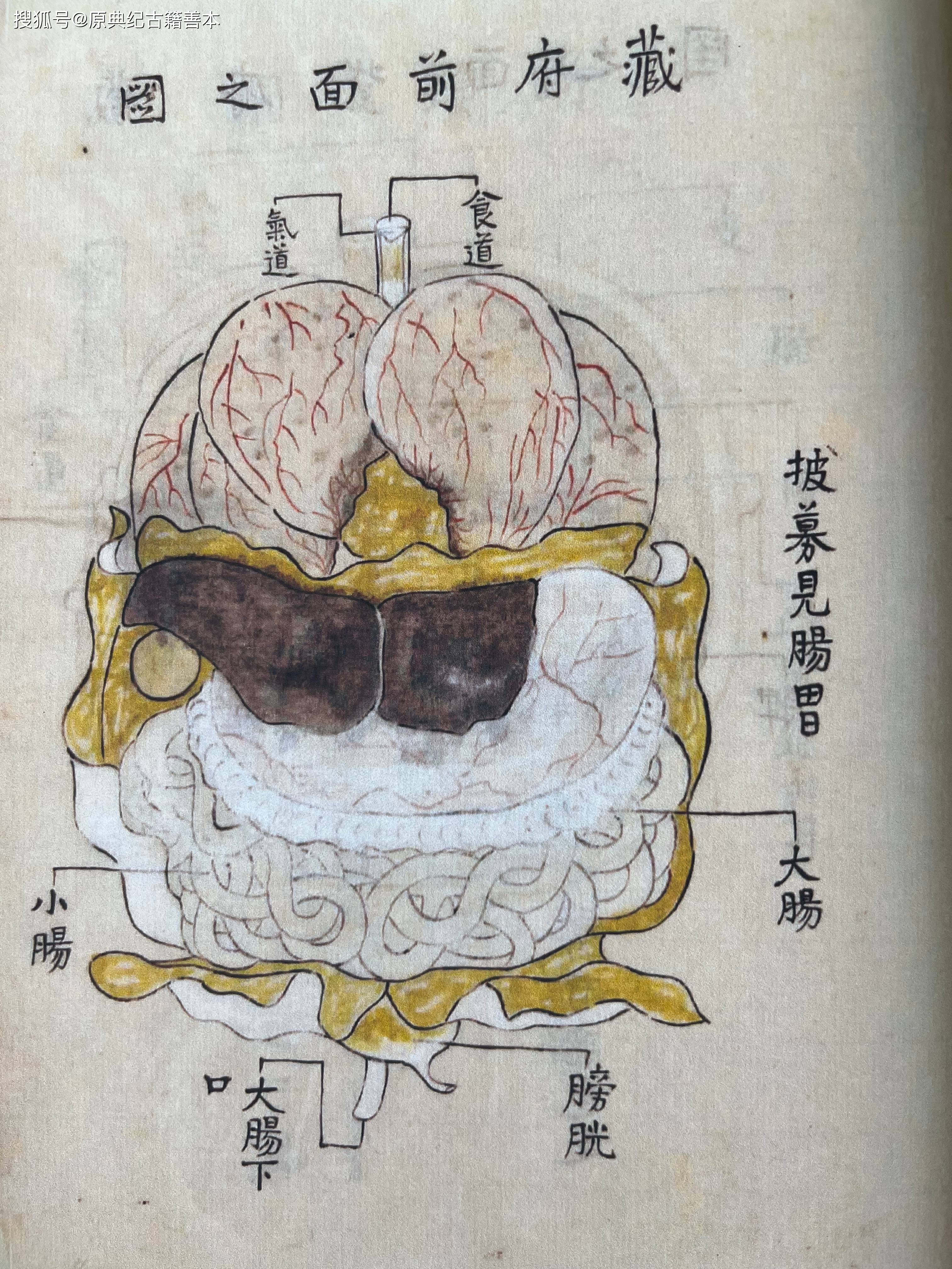 也进行了人体解剖的描述;至北宋时期《欧希范五脏图《存真图》的出