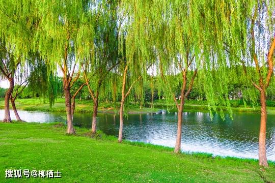 【高考真题】2023年高考全国卷名篇名句默写最新试题汇总（官方答案）