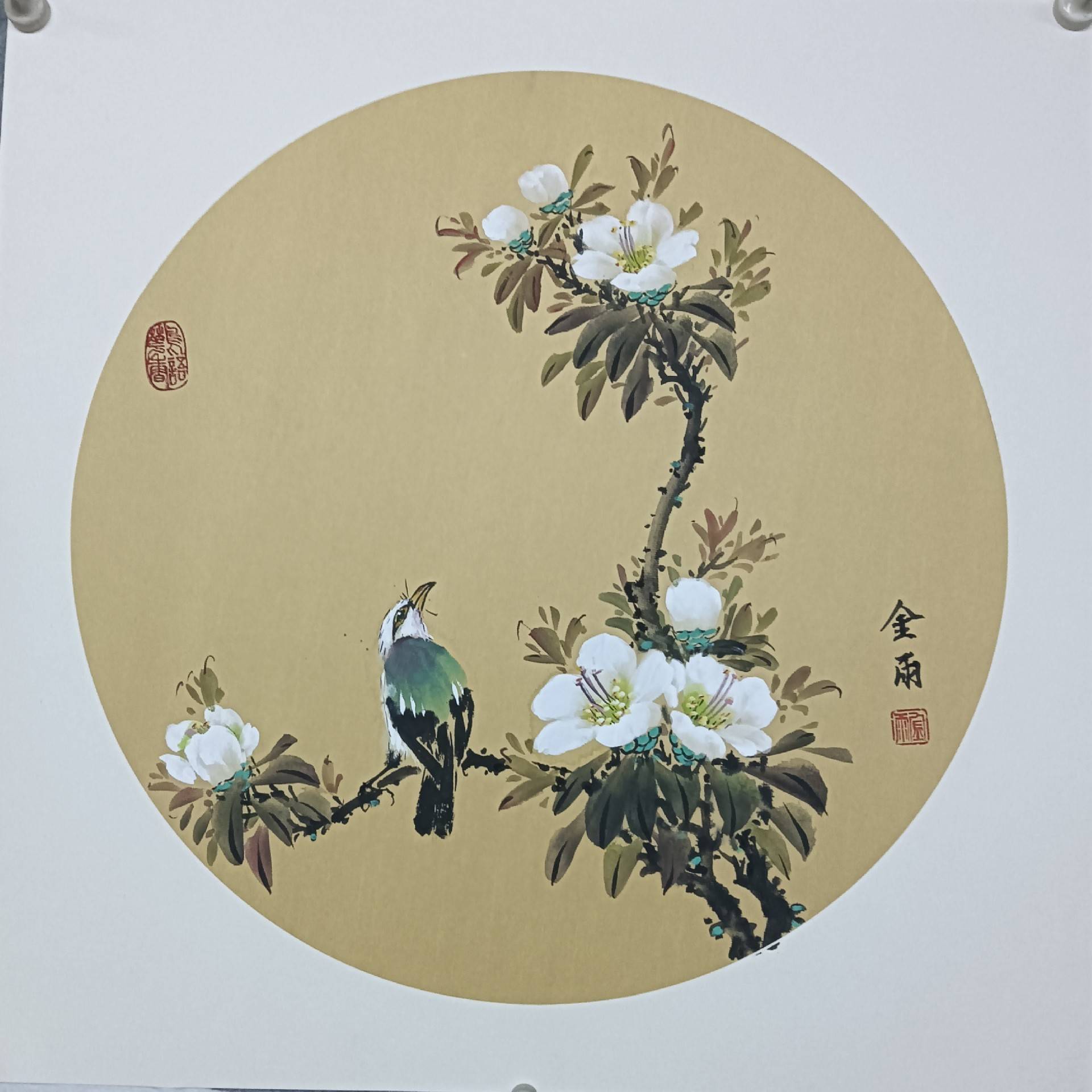 王建强——中国美术家协会会员_花鸟_岭南_四会市