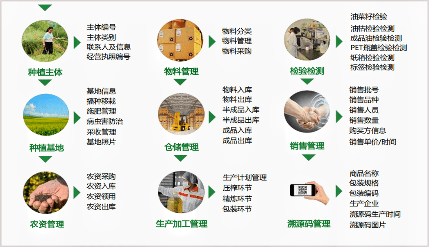 农产品安全溯源系统,从供应链到餐桌全流程覆盖._信息_生产_消费者