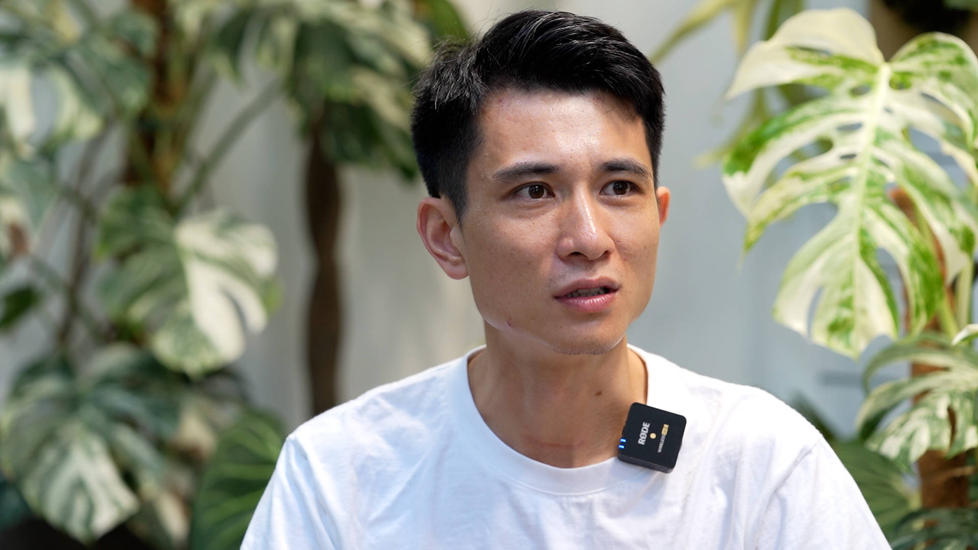 30岁青年辞职开绿植店,一盆绿植卖3000,"还没上班挣得多" | 启点_吕