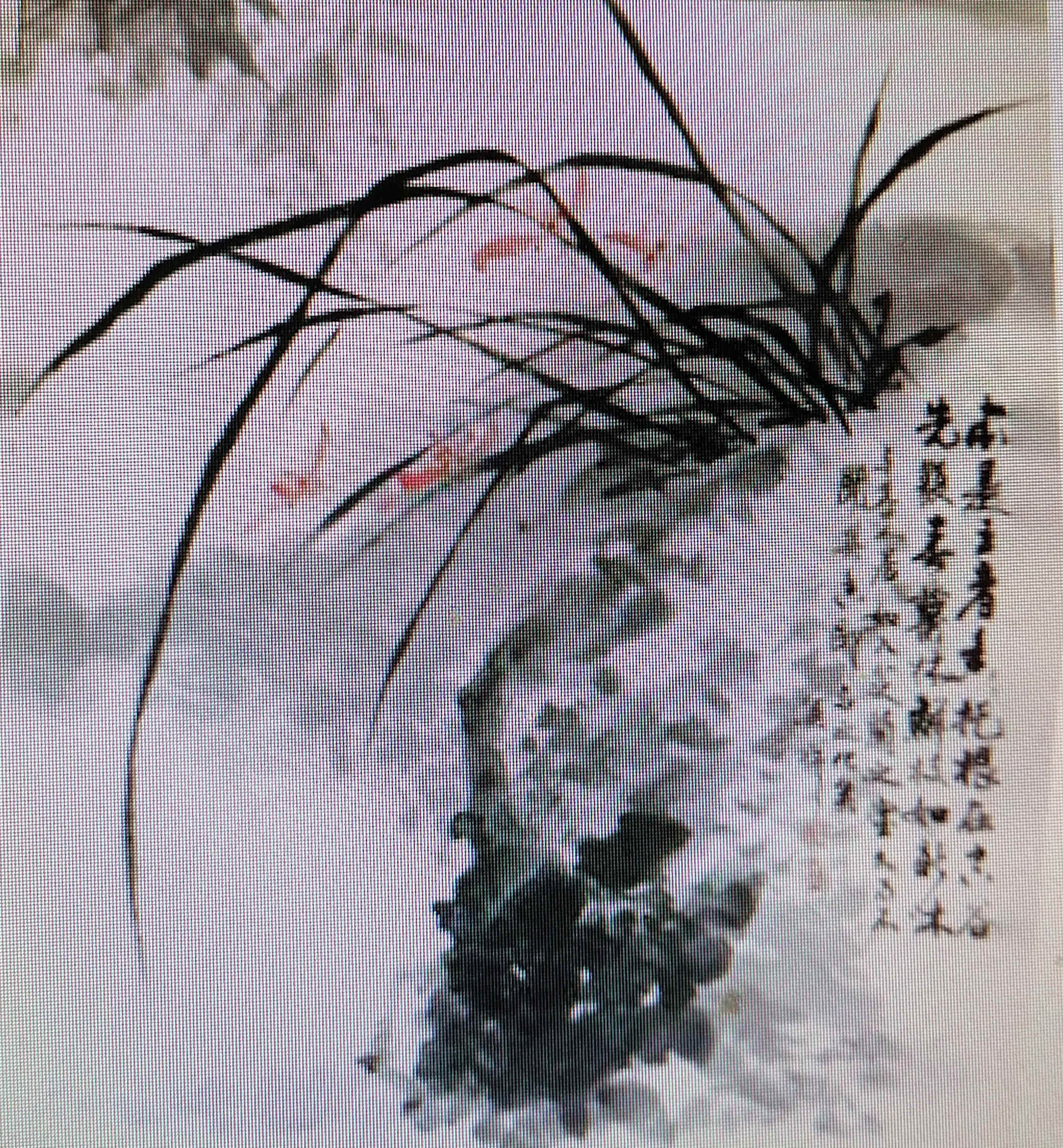 「中国当代书画名家」画家张复祥作品赏析_四川省_艺术_深圳