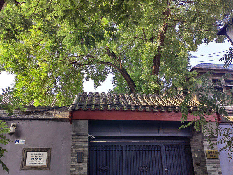 东城区安定门街道古树(六):中西区域(那王府)【待拍摄】_国祥胡同