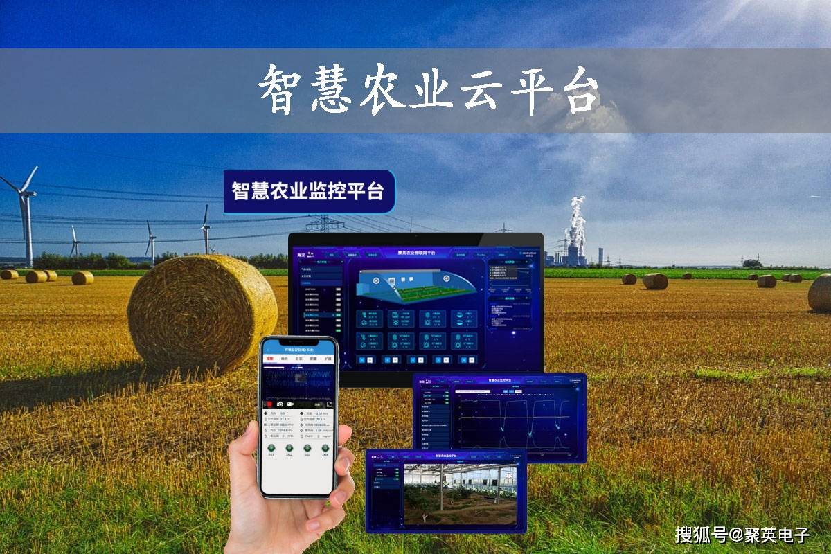 农业服务平台：助力乡村振兴的新动能