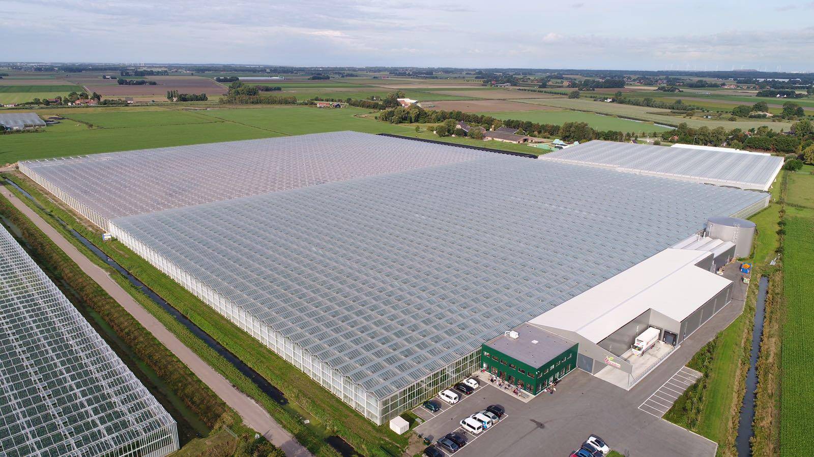 玻璃温室大棚干货分享:_植物_农业_于工