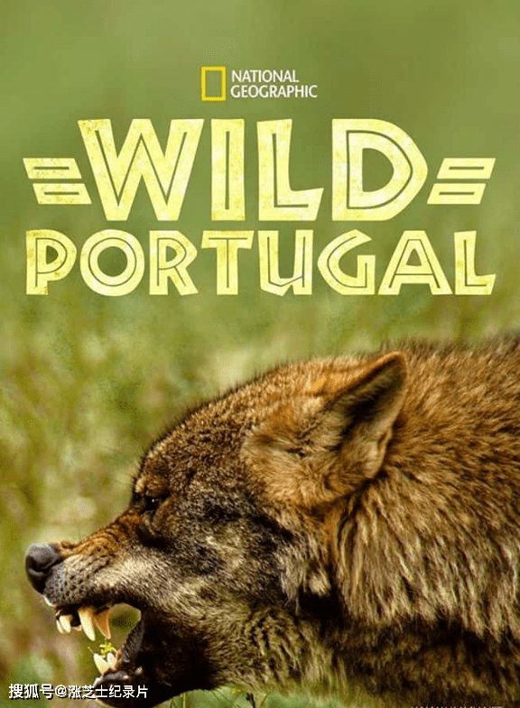 10110-国家地理《野性葡萄牙 Wild Portugal 2020》官方纯净版 1080P/MKV/2.69G 狂野葡萄牙