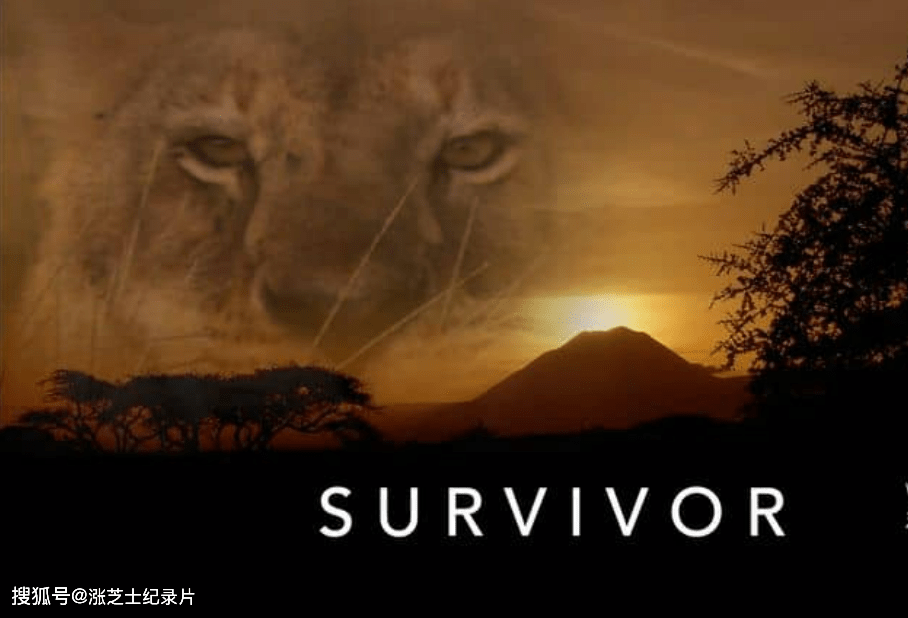 10052-美国纪录片《幸存者 Survivor 2023》英语中英双字 官方纯净版 1080P/MKV/8.39G 动物的生存故事