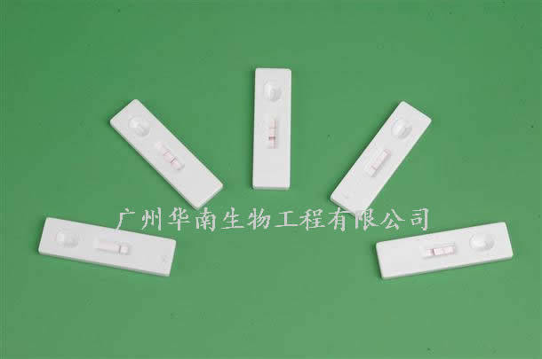 鸡新城疫快速检测试纸_样品_显示_色带