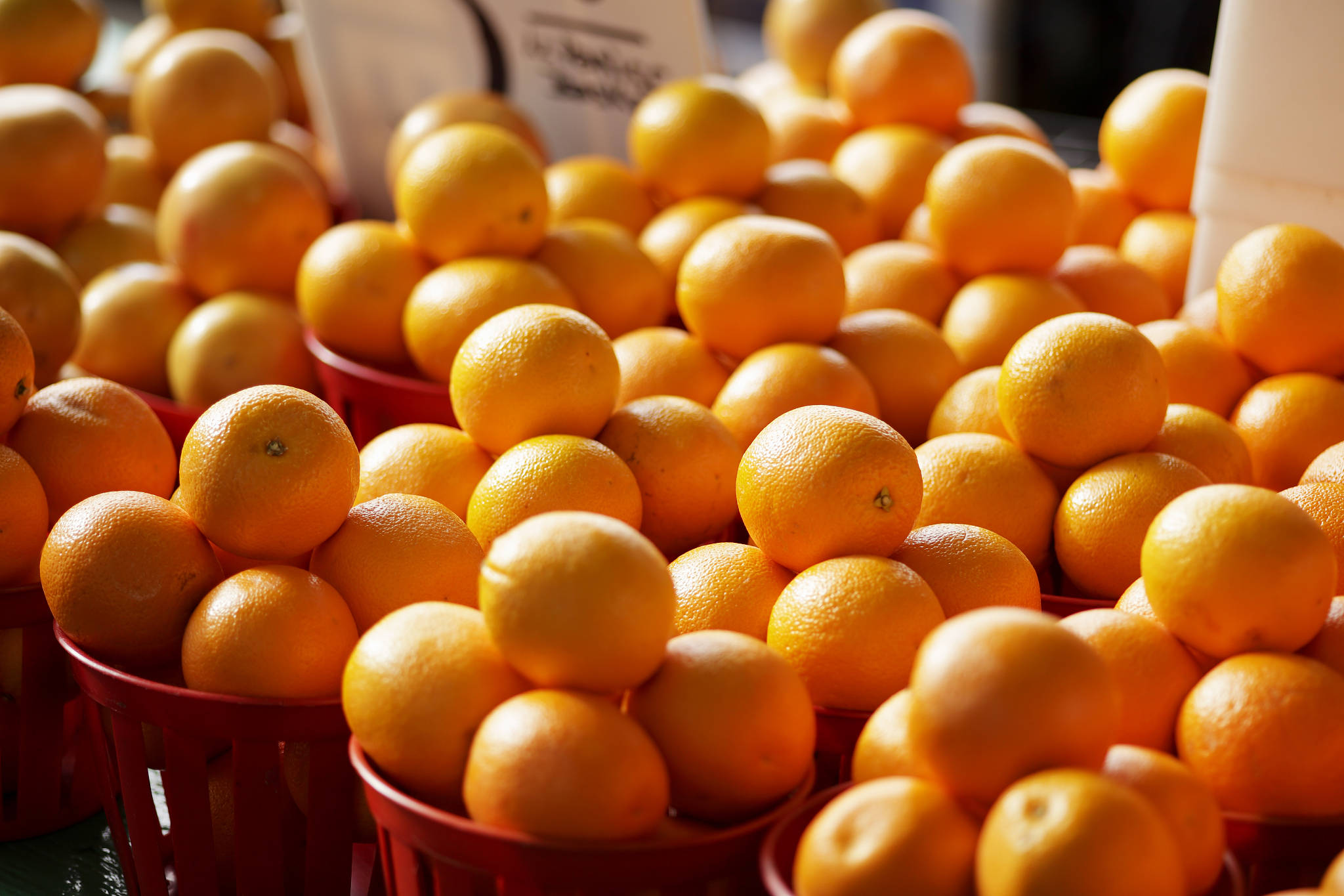 阿根廷桔进口报关清关流程及手续详解【通关指南】_工作_水果_商检