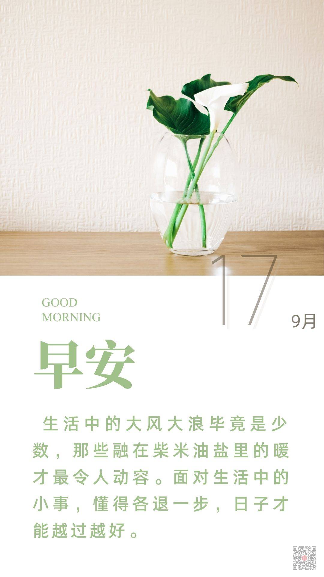 9月17日微语简报,60秒知天下_中国女排_我国_微信