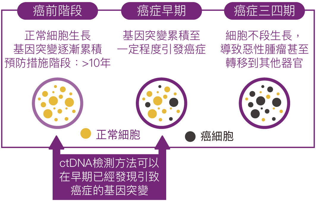 墙裂推荐（验孕棒会不会出现假）怀孕的最初征兆1-14天 第3张