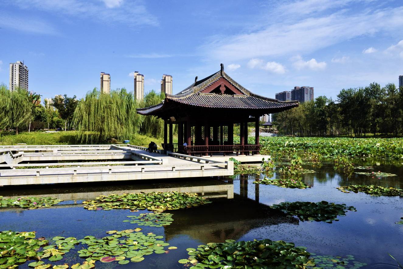 贾鲁河秋游随笔_河床_西流_郑州