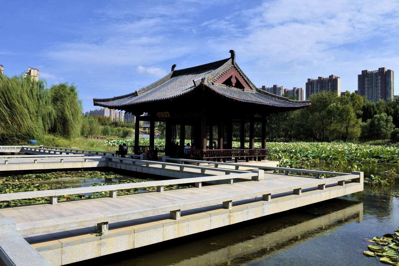 贾鲁河秋游随笔_河床_西流_郑州