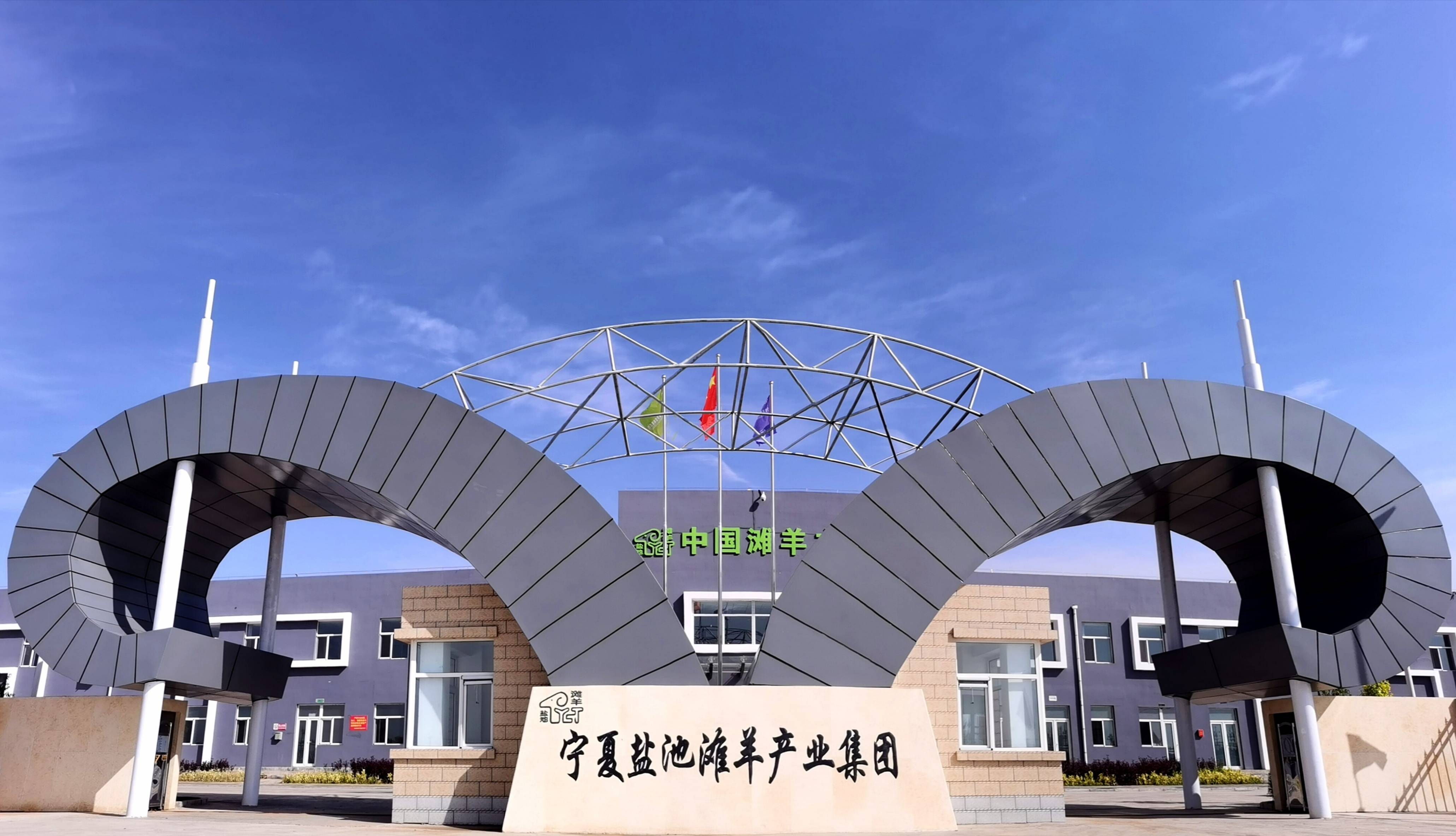 把滩羊做成致富羊,发展羊, 品牌羊,冬奥羊_盐池县_产业_养殖