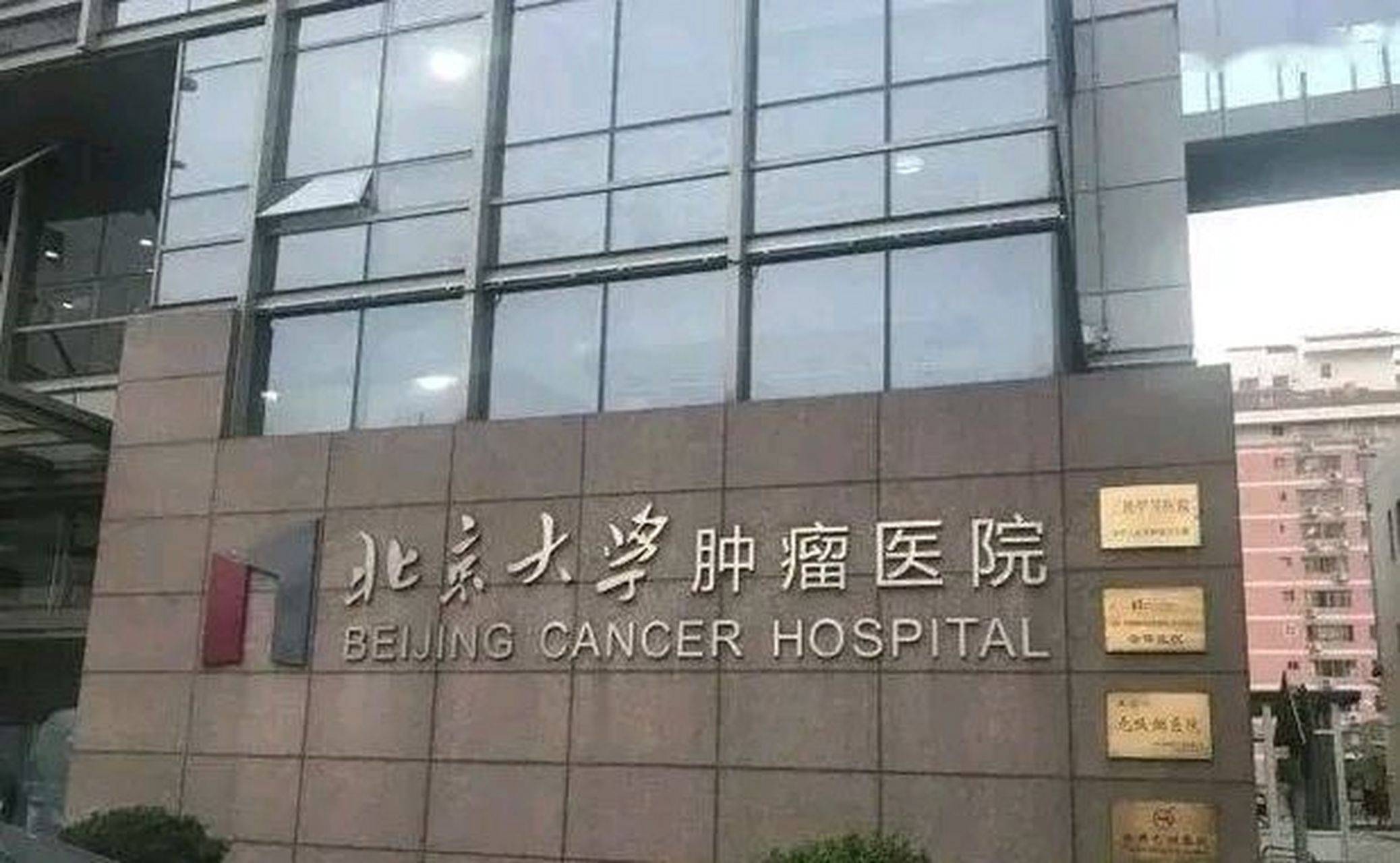开云官方下载截图1