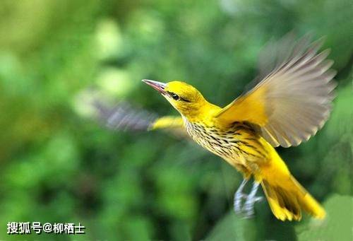 人民日报：同一个班级、同样的老师，孩子间拉开差距的真正原因！