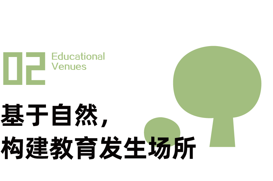 希园视角丨以种养活动掀起自然教育的一角:幼儿园需要怎样的生态区?