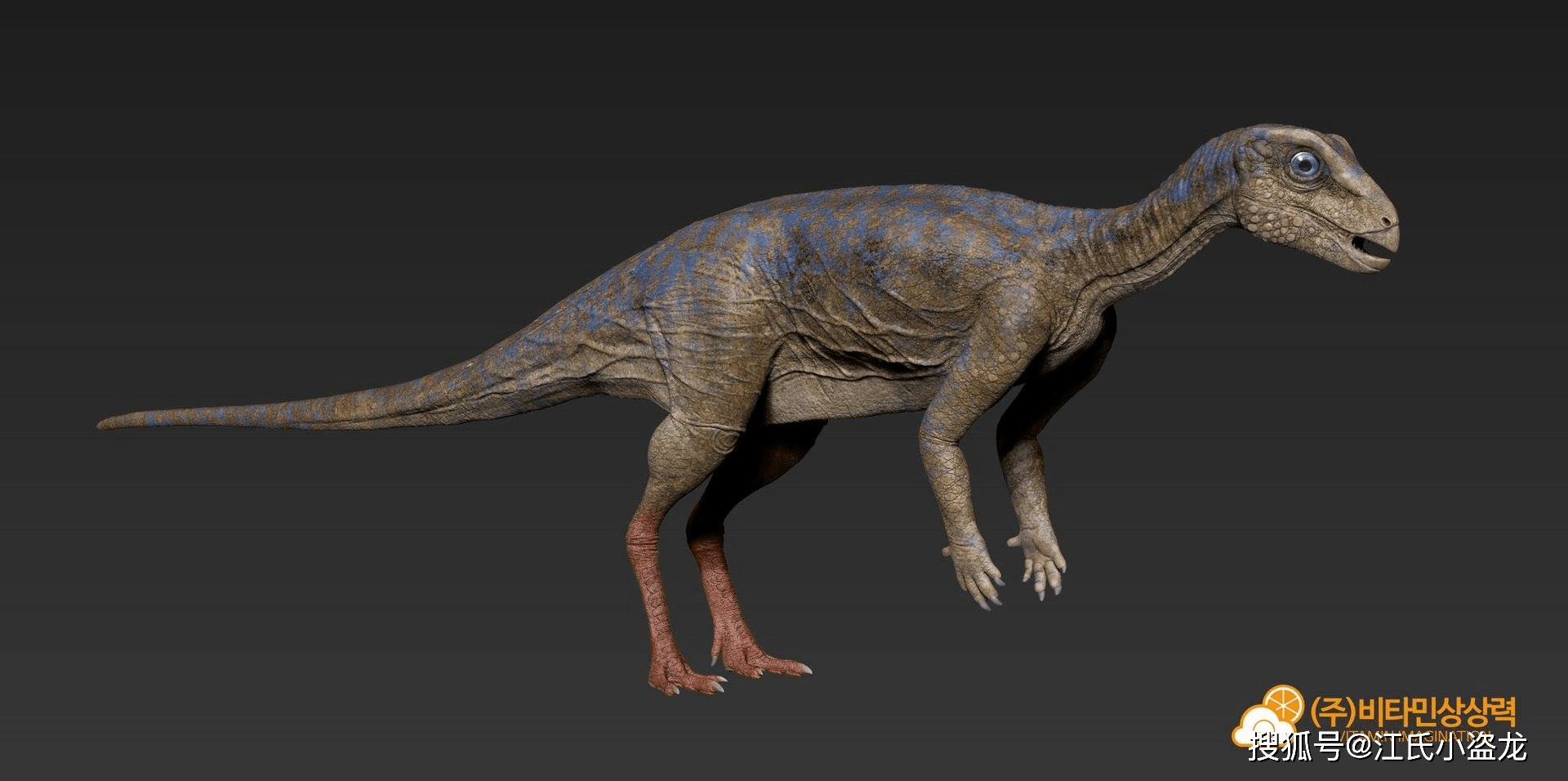 棱齿龙的化石是在英国南部的怀特岛上发现的,就在同一座岛屿上的,古