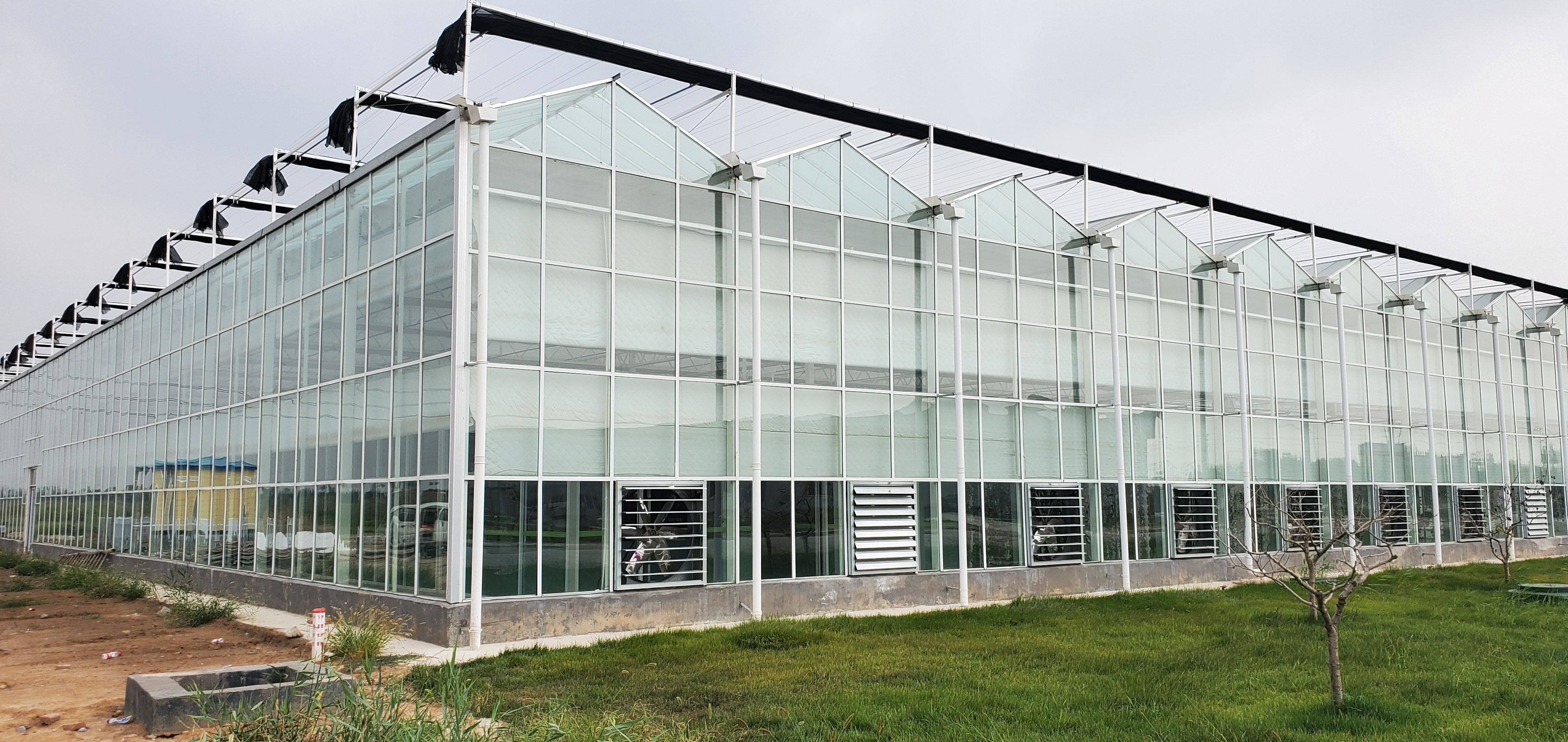 智能玻璃温室大棚建设费用大概多少钱一平方?