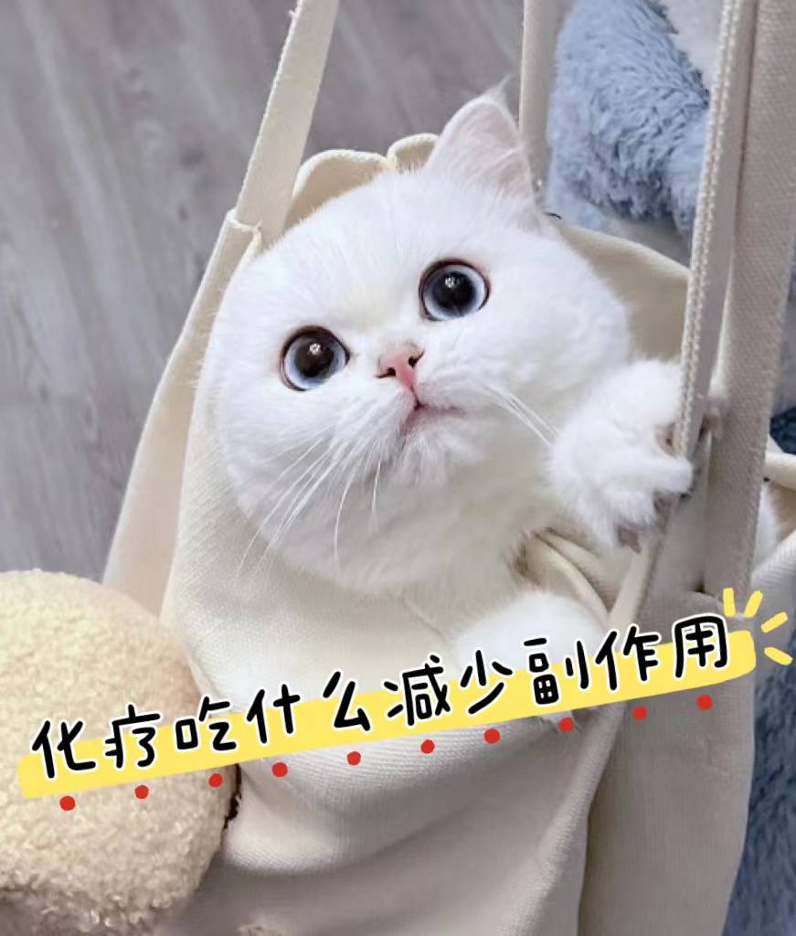 化疗后吃什么补充营养最好,减少副作用_口感_爸爸_价格