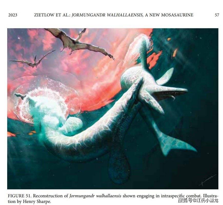 【史前海怪】以北欧神怪命名的白垩纪海怪_耶梦加得_龙的_化石