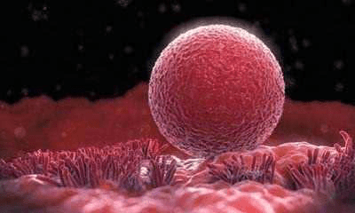 胚胎移植后一般多久着床?