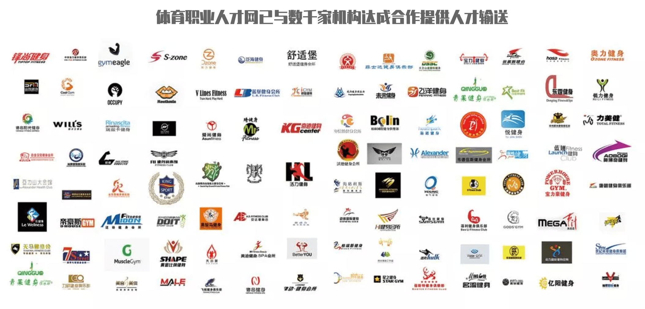 体育职业人才网签约六位冠军代言,与冠军同行,为体育赋能!