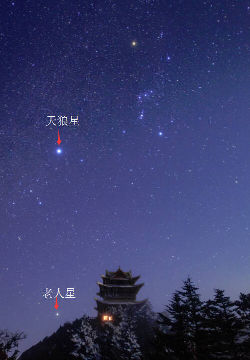 天狼星照片星座图片