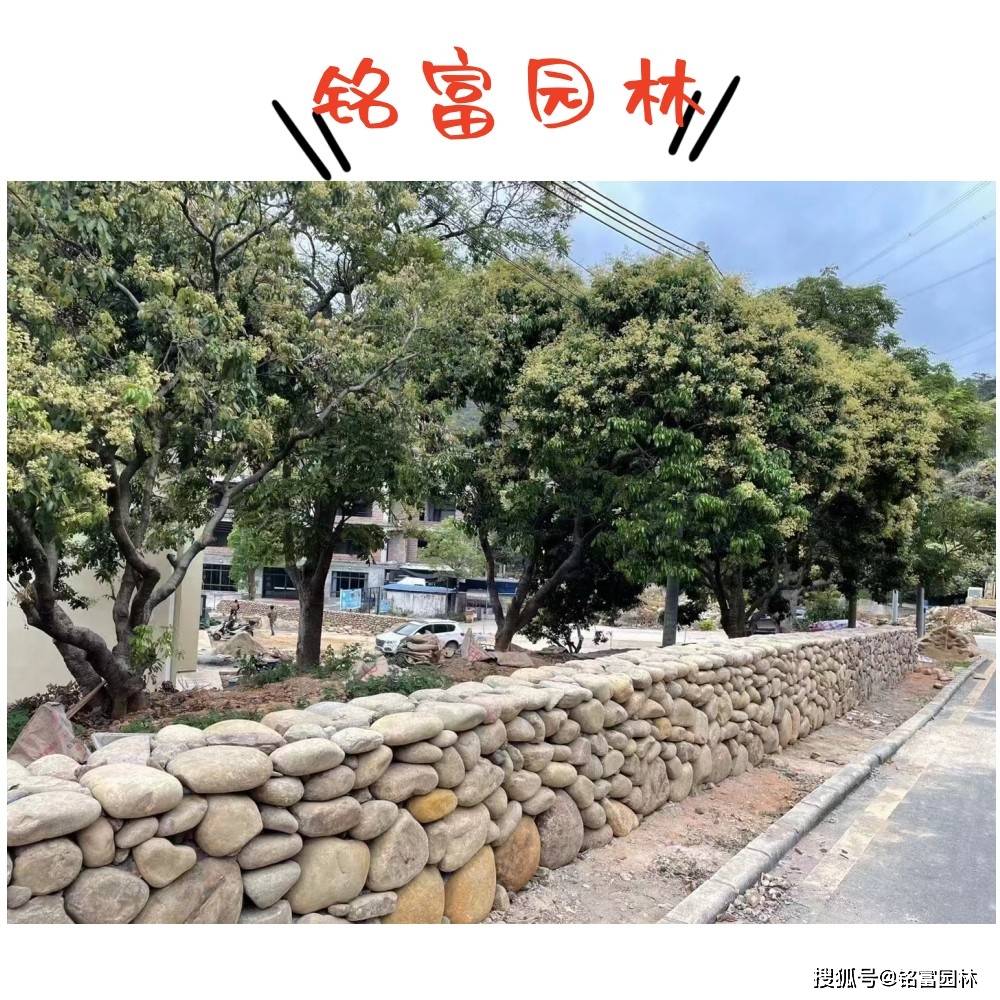 阳江市 鹅卵石河卵石批售 鹅卵石户外地面铺建设计 景观石原石产地