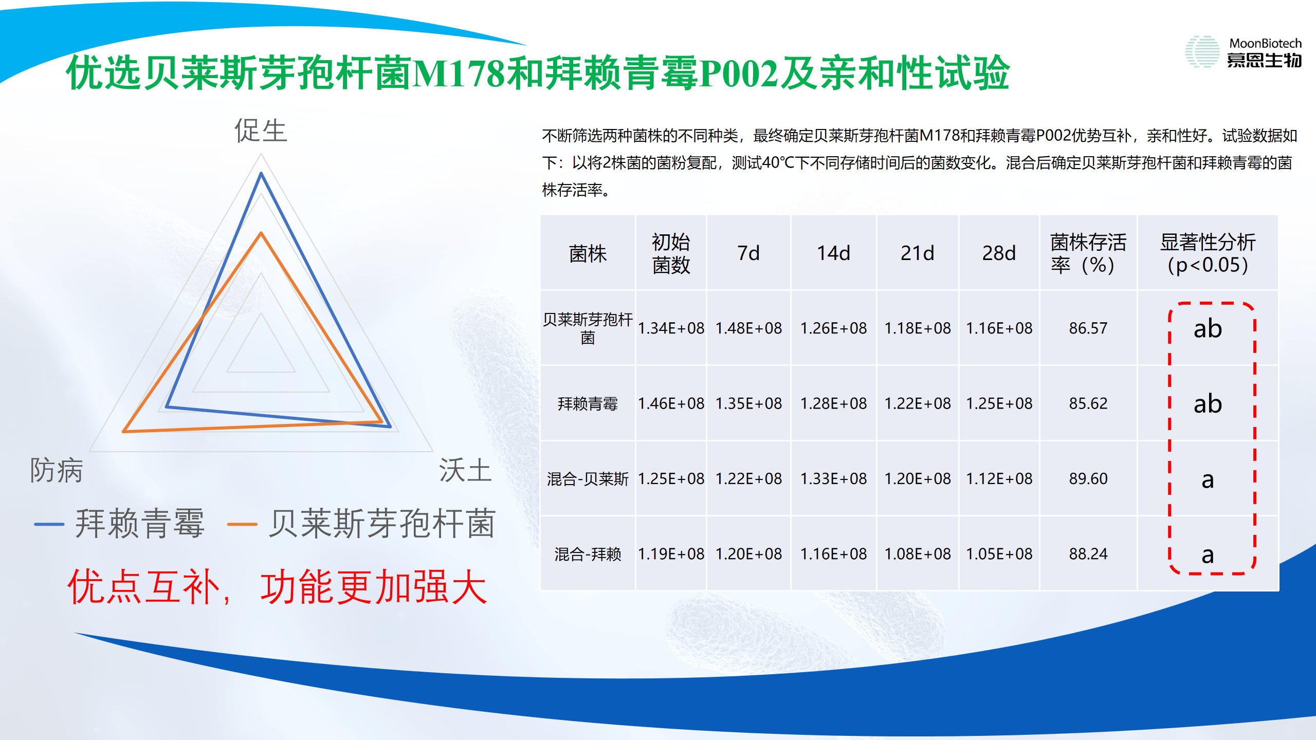 混合后确定贝莱斯芽孢杆菌和拜赖青霉的菌株存活率.