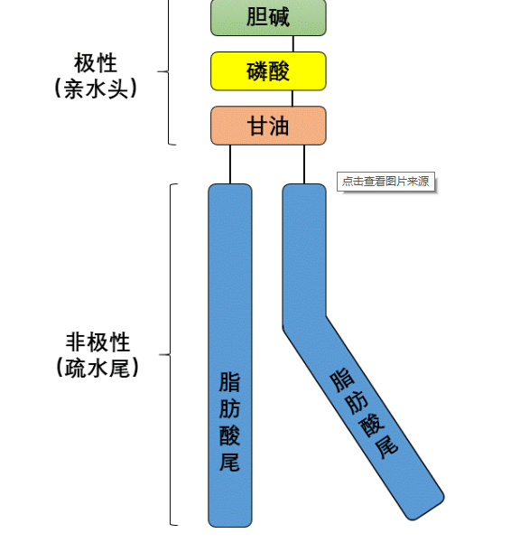 13二磷酸甘油酸图片